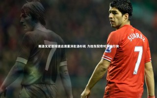 开云官网入口：斯洛文尼亚球迷远渡重洋赴洛杉矶 力挺东契奇对决独行侠