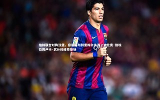 开云体育下载：柏林联合对阵汉堡，容诺夫与特里梅尔先发，法比奥·维埃拉同卢卡·武什科维奇登场